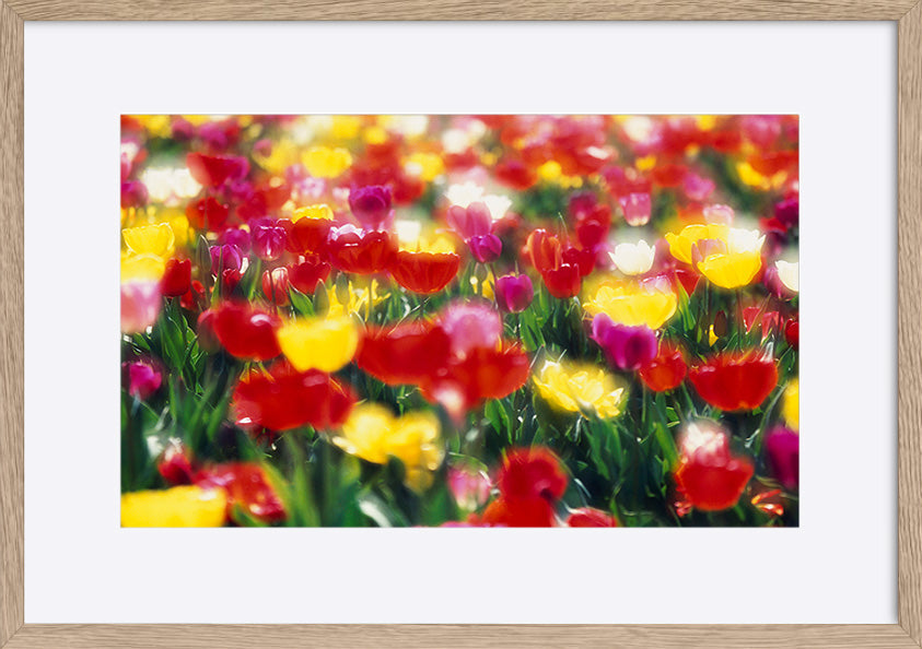 paper_frame