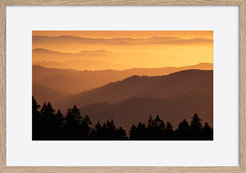 paper_frame