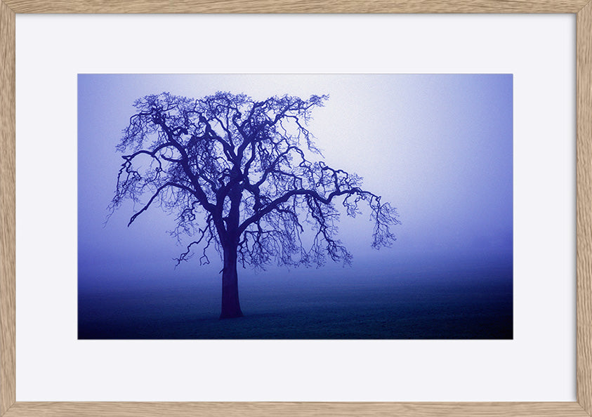 paper_frame