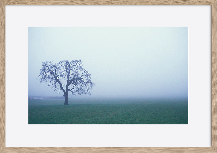 paper_frame
