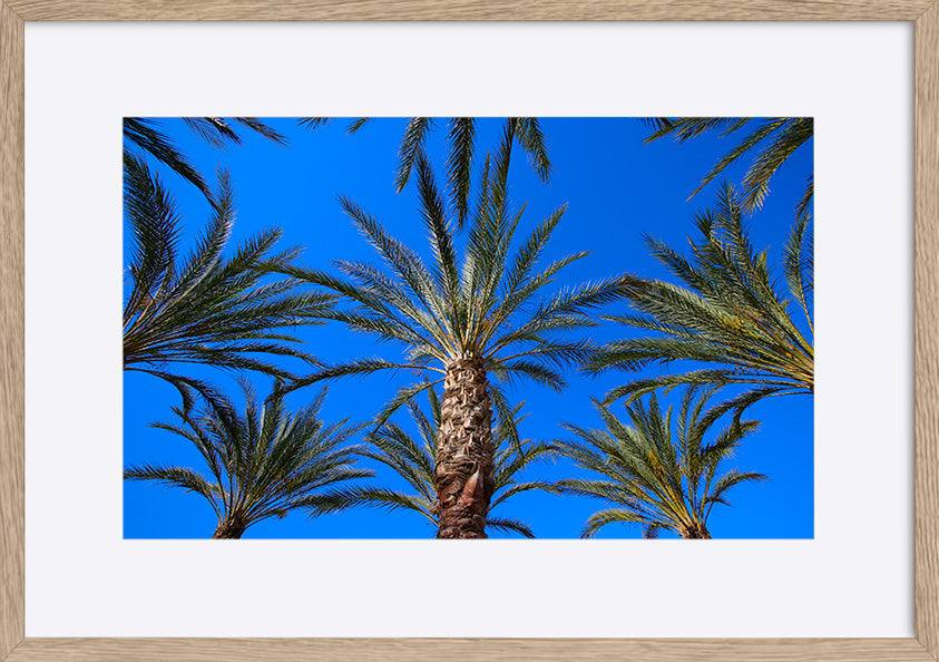paper_frame
