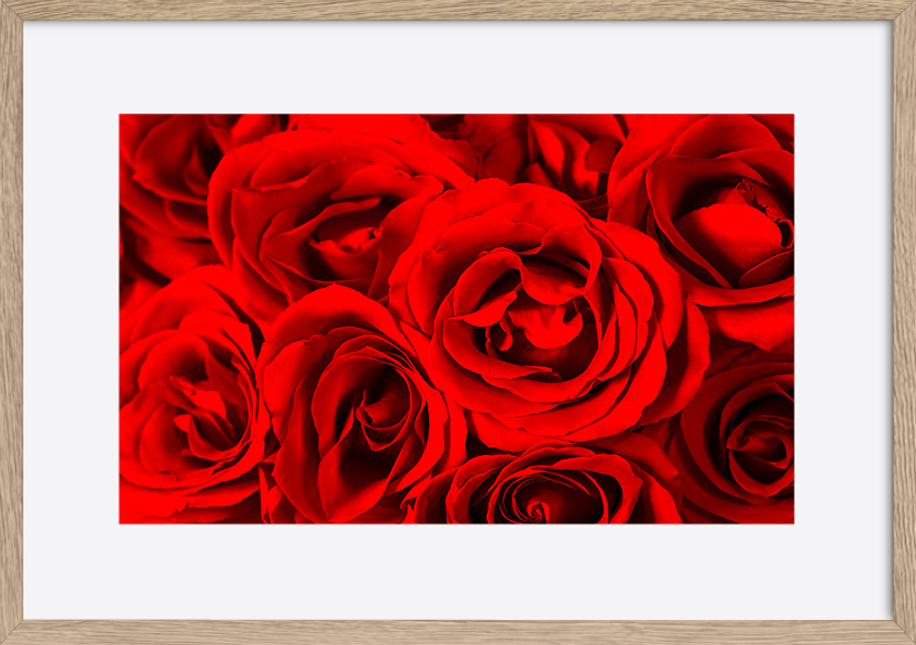 paper_frame