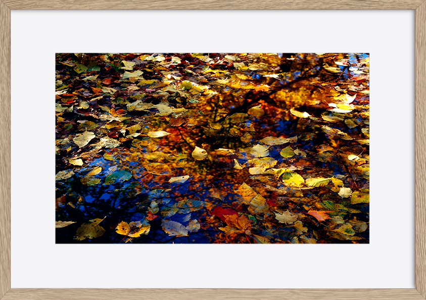 paper_frame