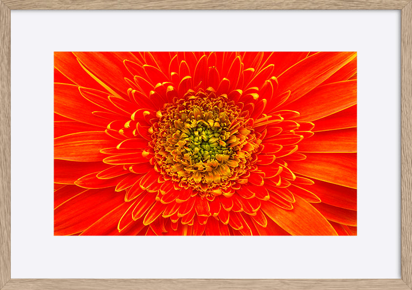 paper_frame