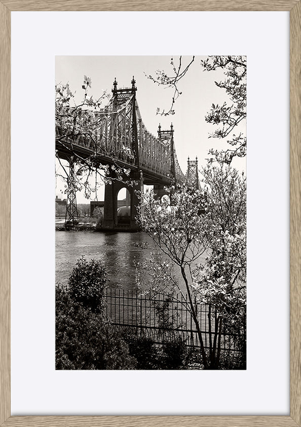 paper_frame