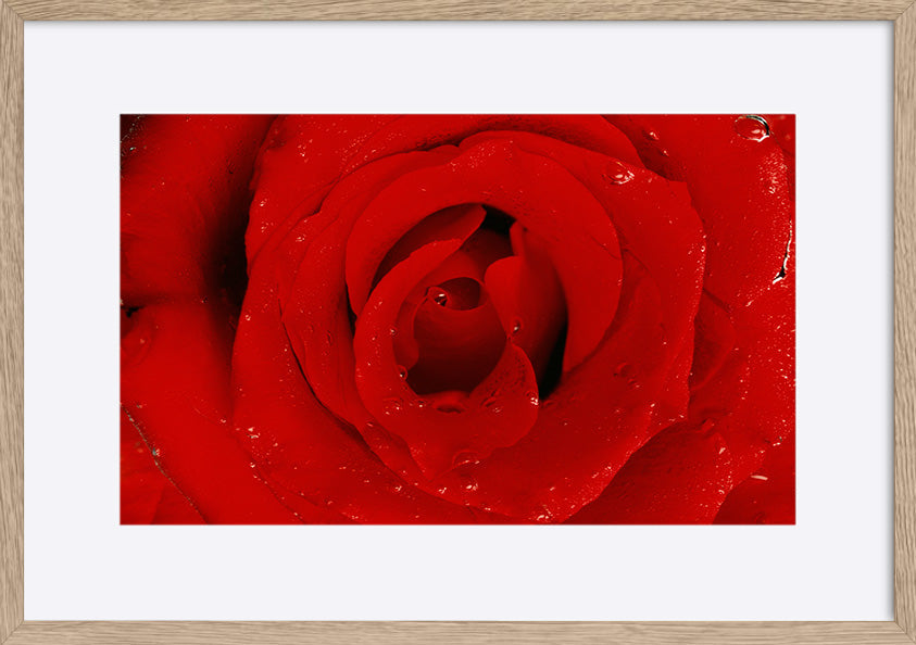 paper_frame