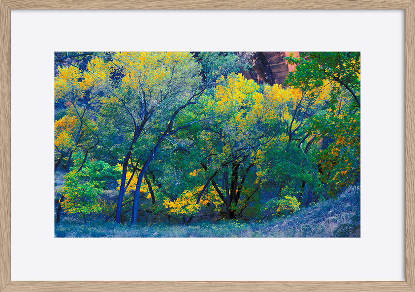 paper_frame