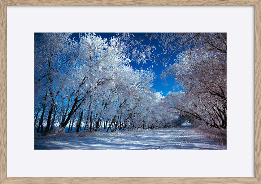 paper_frame