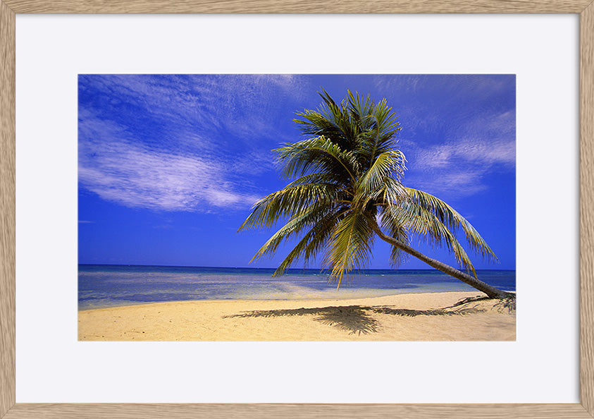 paper_frame