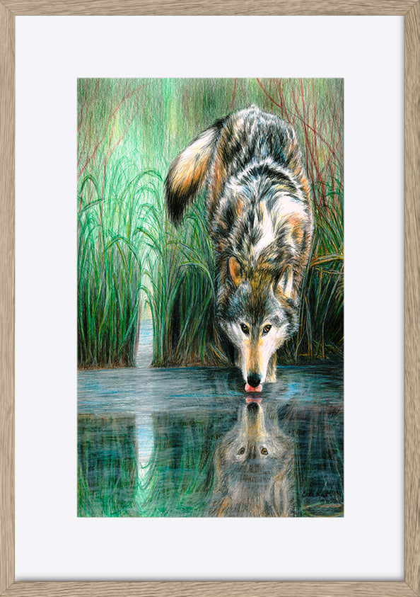 paper_frame