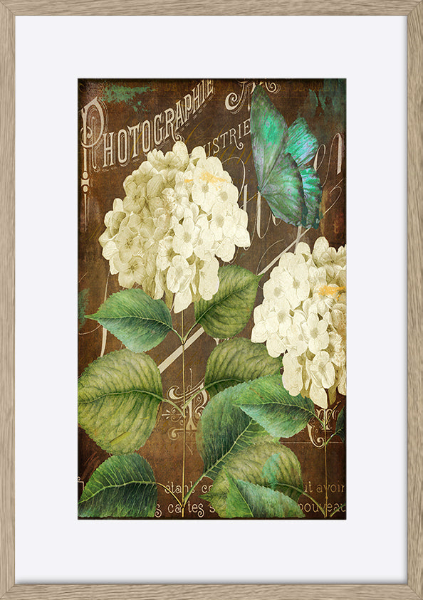 paper_frame