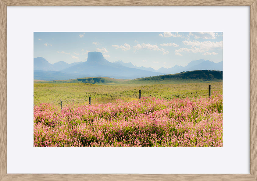 paper_frame