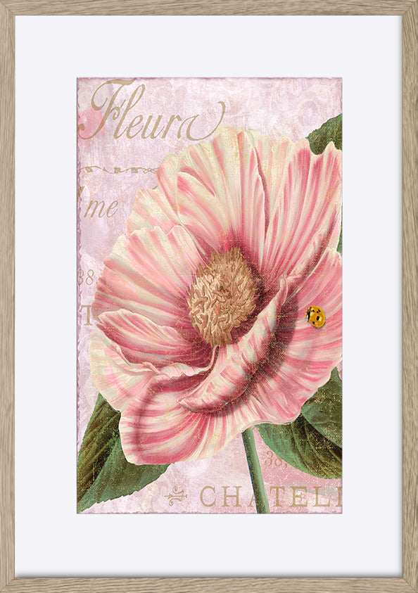 paper_frame