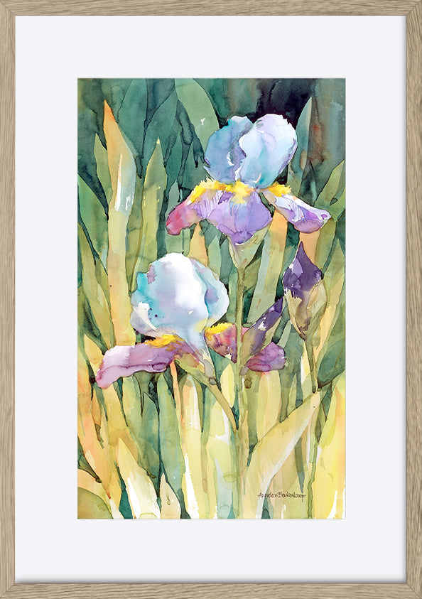 paper_frame