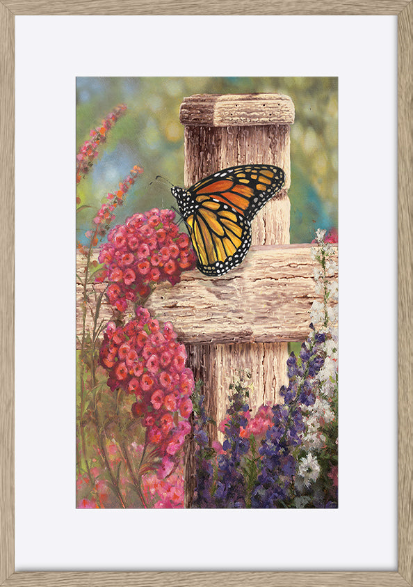 paper_frame