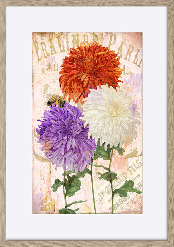 paper_frame