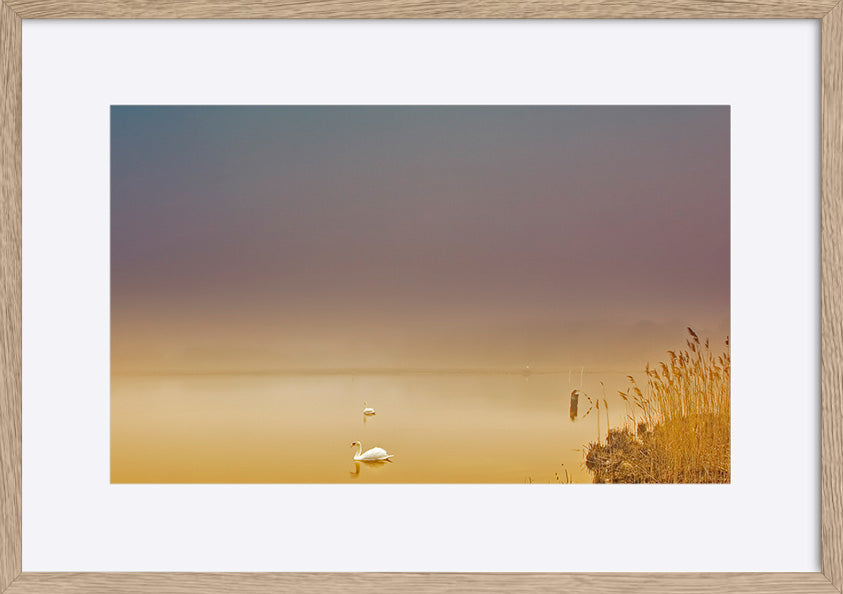 paper_frame