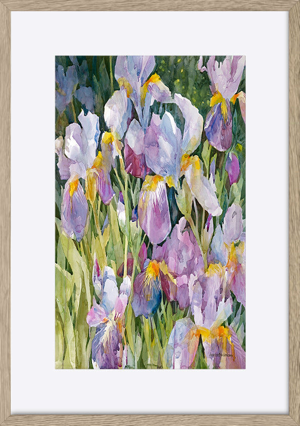 paper_frame
