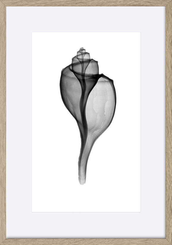 paper_frame