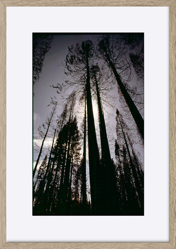 paper_frame