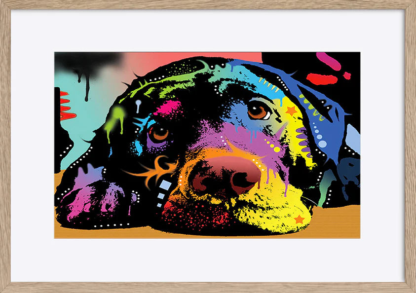paper_frame