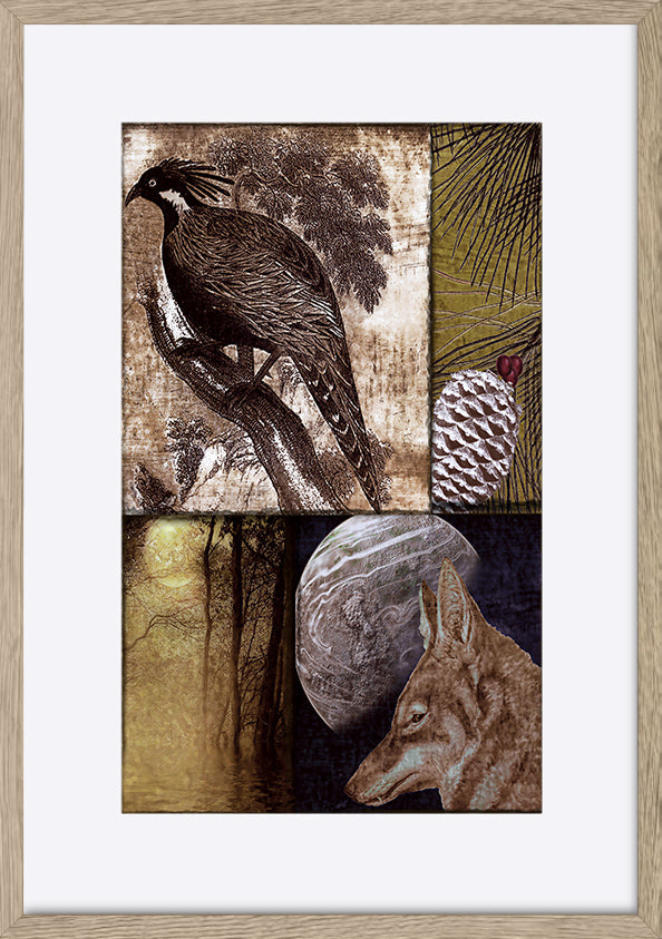 paper_frame