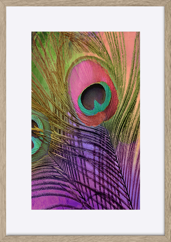 paper_frame