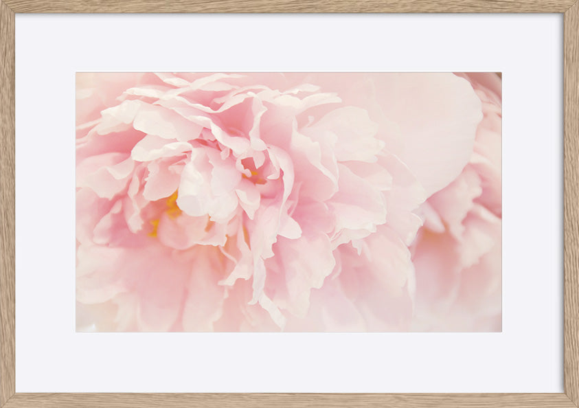 paper_frame