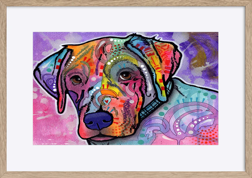paper_frame