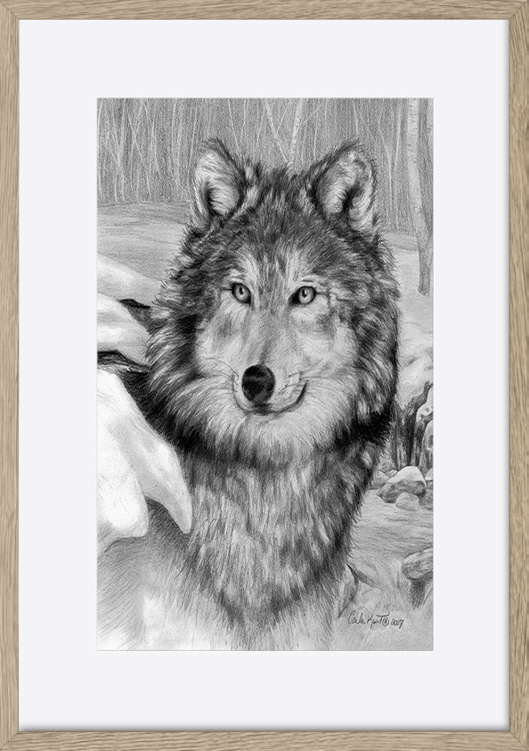 paper_frame