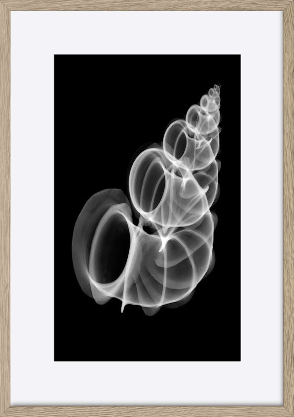 paper_frame