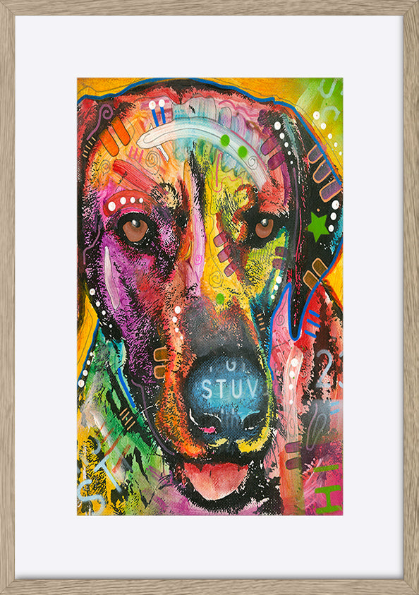 paper_frame