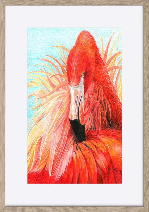 paper_frame