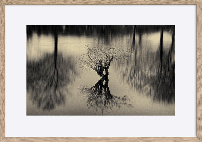 paper_frame
