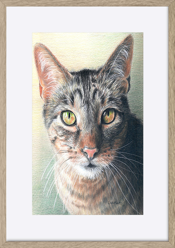 paper_frame