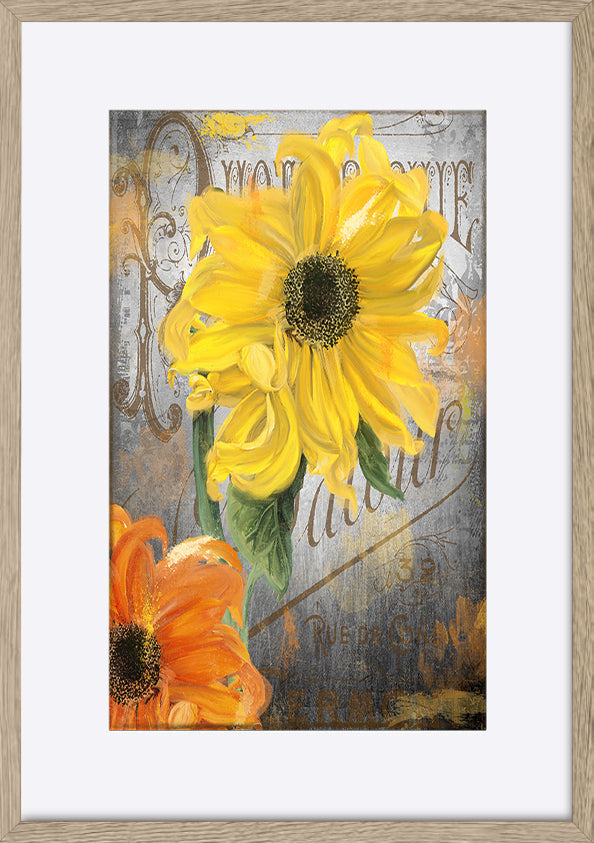 paper_frame