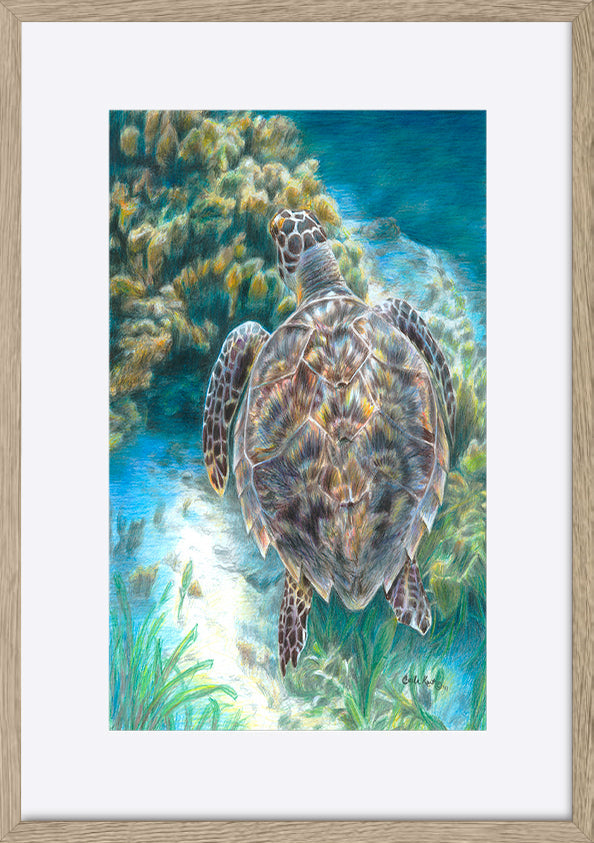 paper_frame