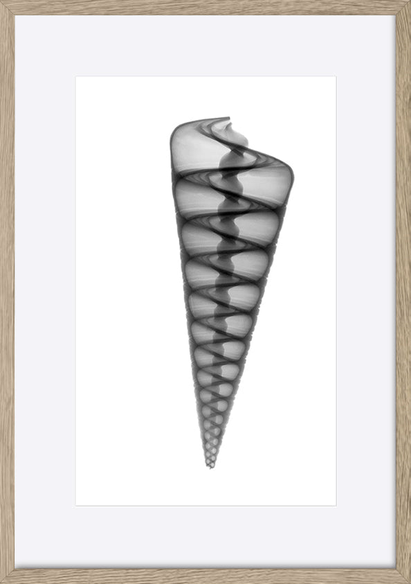 paper_frame