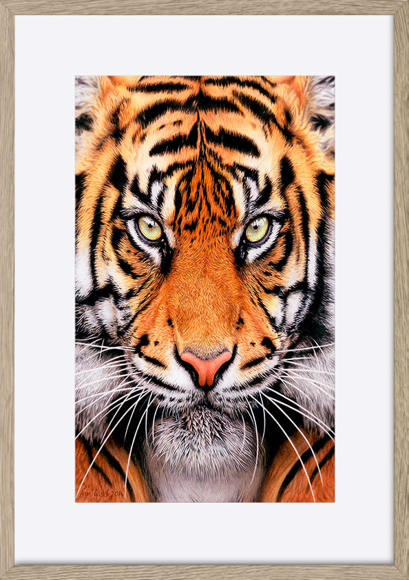 paper_frame