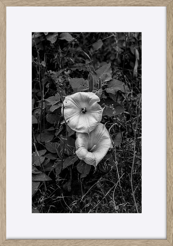 paper_frame