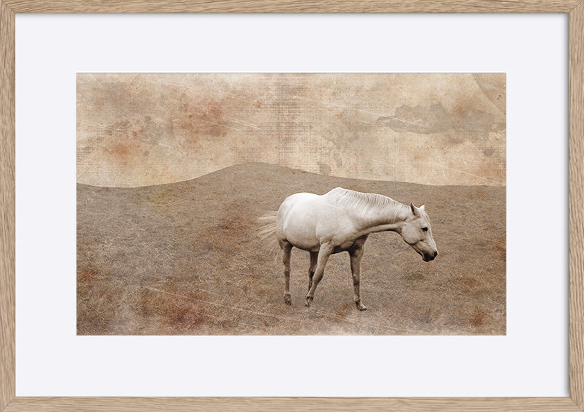 paper_frame