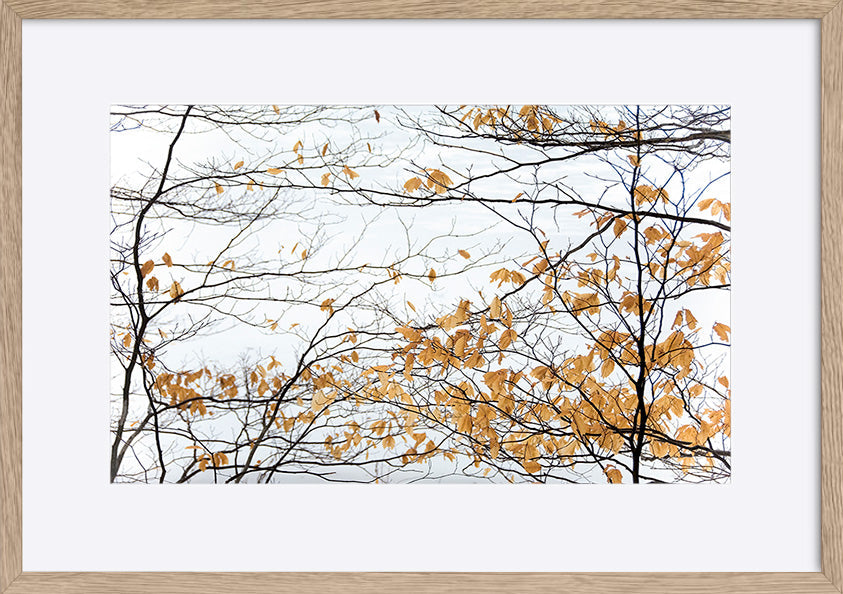 paper_frame
