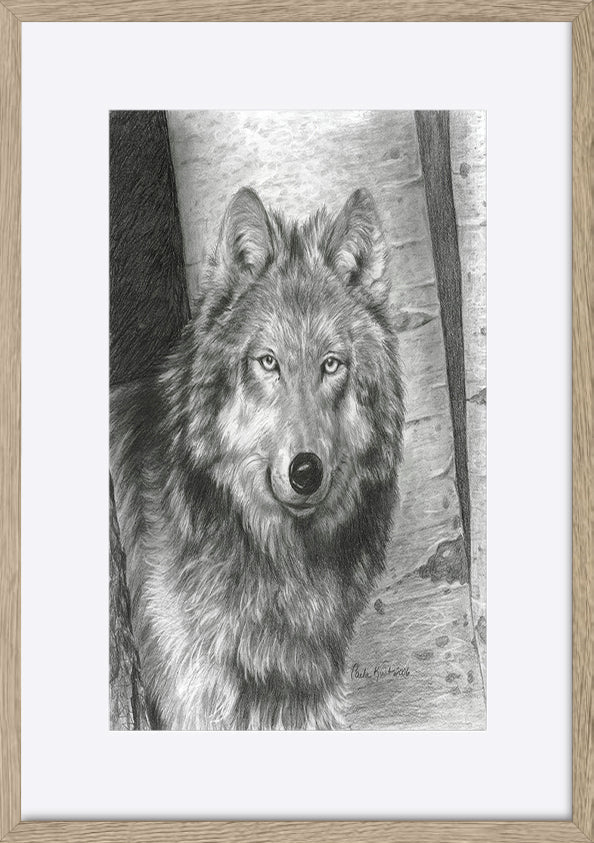 paper_frame