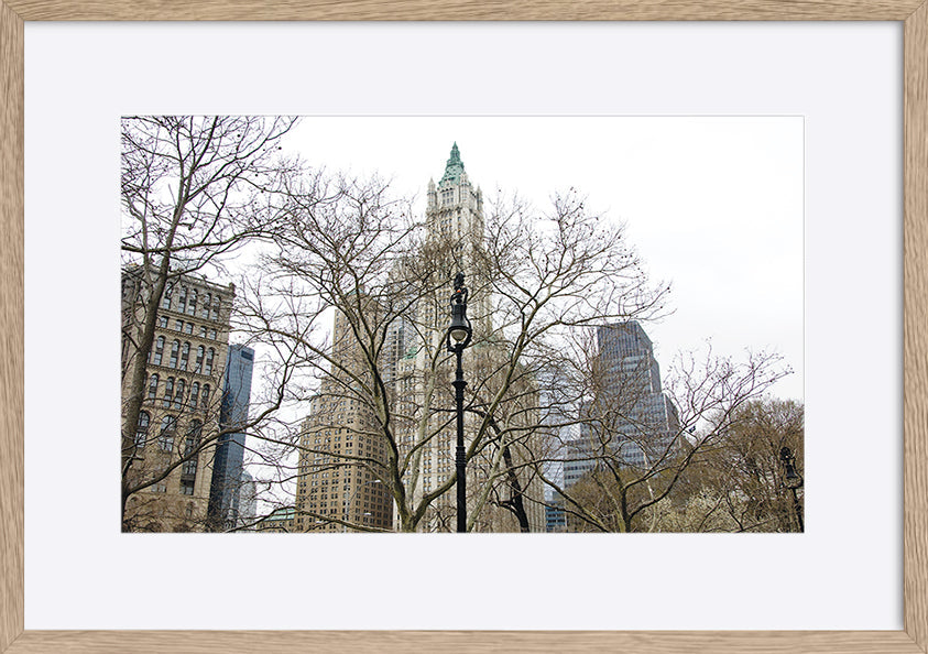 paper_frame