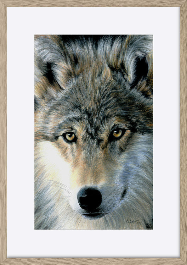 paper_frame