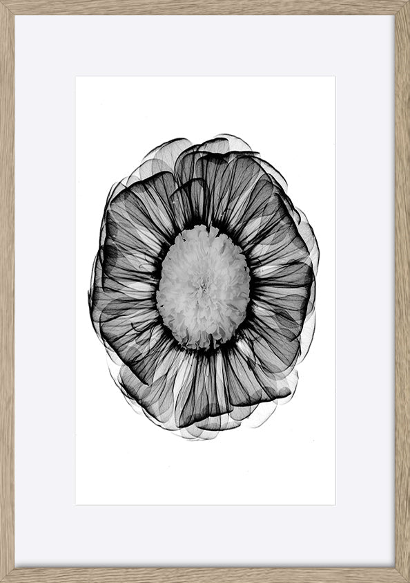 paper_frame