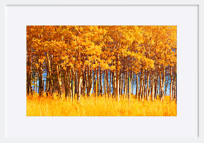 paper_frame