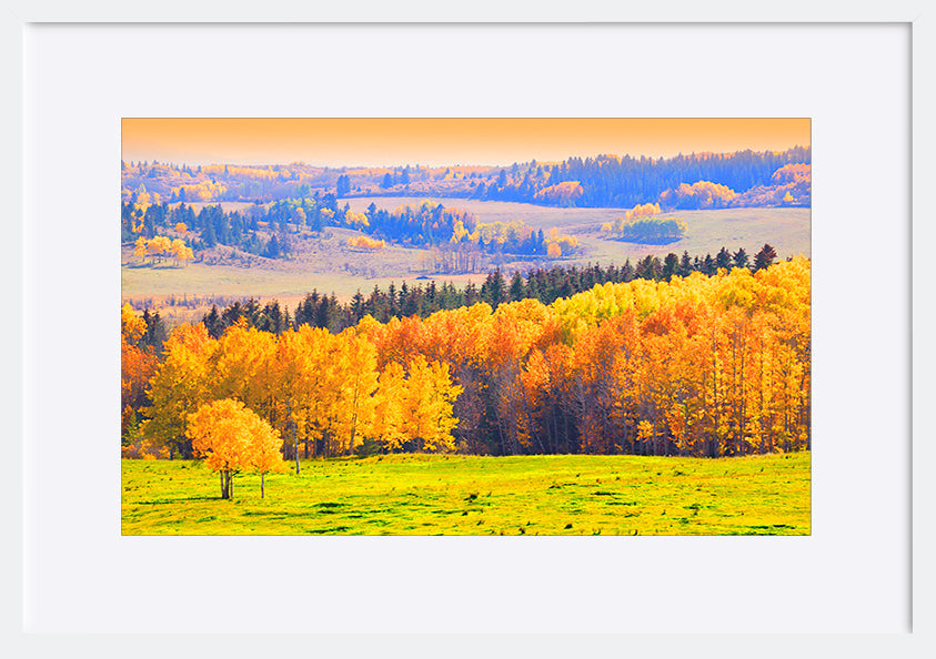 paper_frame