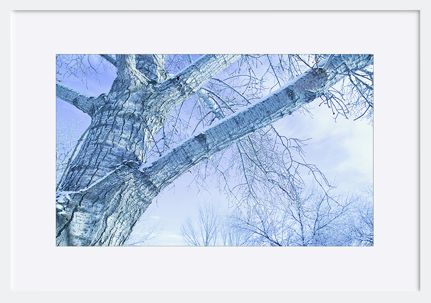 paper_frame