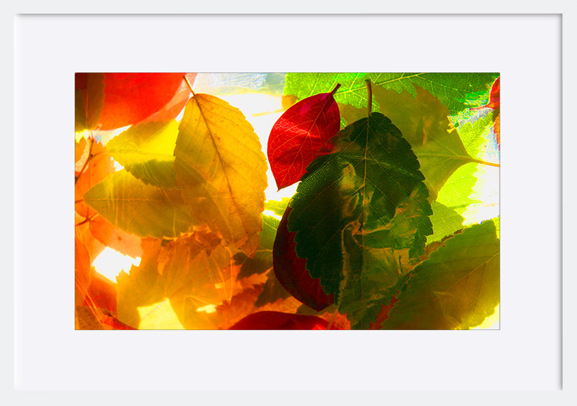 paper_frame